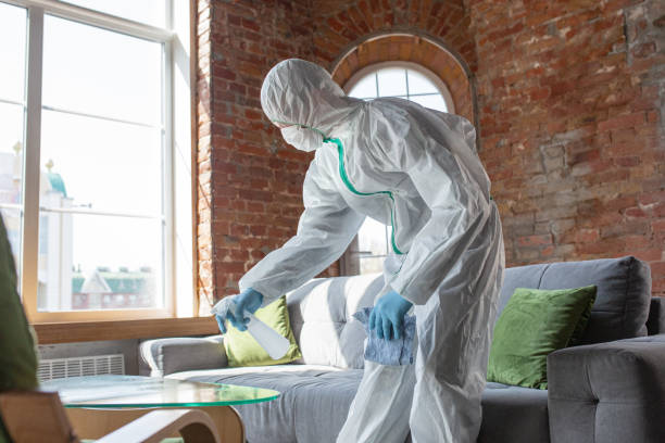 Forensic Mold Investigation in Archer, FL