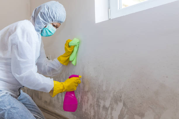 Best Biohazard Mold Removal  in Archer, FL